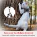 Cat Dishes Set with Leash | Breakout Cat Feeders for Kittens & Puppies | International Shipping Available - Buy Online on GoSupps.com