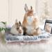 Soft & Warm X-Large Small Animal Bed Mat | Suitable for Guinea Pig, Hamster, Rabbit, Rat, Bearded Dragon | Star Grey - Buy Online on GoSupps.com