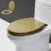 Glitter Toilet Seat Slow Close Resin Toilet Seat Round Sparkling Toilet Seat for Bathroom - Decorative Glam Toilet Seat Easy Clean Gold Little Surprise