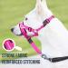 Goodboy Dog Halter - Anti-Pull Padded Harness for Small to Large Dogs | Size 3 Rosa Nylon/Black | Includes Training Instructions - Buy Online on GoSupps.com