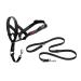 HALTI Headcollar Size 3 & HALTI Training Lead Size Large Black - Bestselling Dog Head Harness and Dog Lead to Stop Puling on the Lead. Lightweight Adjustable and Easy to Use. Ideal for Medium Dogs.