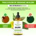 Mullein Drops for Lungs USDA Organic Lung Detox and Cleanse Liquid with Marshmallow Thyme Astragalus Orange Peel Echinacea Alcohol & Sugar Free Extract for Smokers 2 Fl Oz 2 Fl Oz (Pack of 1) - Buy Online on GoSupps.com
