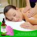 Premium Rosemary Oil for Hair Growth 120ml | Essential Oil for Thinning Damaged Hair - Includes Silicone Scalp Massager - Buy Online on GoSupps.com