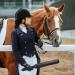 BARPOT 18'' Riding Crop for Horses - Durable Leather Paddle for Lightweight Equestrian Use - Buy Online on GoSupps.com