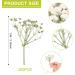 Dried Babys Breath Flowers - 200 White Real Gypsophila for Wedding, Resin Art, Craft, DIY - Natural Pressed Floral Decor - Buy Online on GoSupps.com