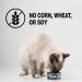 Healthy Shores Minced Herring Cat Food - Buy Online on GoSupps.com