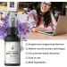 2024 New 1/2/3Pcs Magnesium Spray Lavender - Magnesium Spray for Sleep and Anxiety | Magnesium Body Spray | Magnesium Oil Body Spray | Pure Magnesium Chloride Body Spray - 60ML/2FL.OZ (1pcs Magnesium Spray) - Buy Online on GoSupps.com