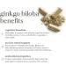 Fushi Organic Ginkgo Biloba Capsules 60 Caps | Fresh-Ground Whole Food | Memory Boosting Properties | Ethical & Vegan | Made in the UK Packaging may vary - Buy Online on GoSupps.com