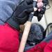 Glacier Glove Alaska River Series Windproof Fingerless Gloves - Black XXL - Buy Online on GoSupps.com