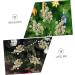 ABOOFAN 20pcs Christmas Imitation Berries Wreath Flower Garland Decor Christmas Berries Simulation Berries Branch Artificial Berry Branches Xmas Berries Christmas Tree Foam Accessories Golden 19X5X5CM - Buy Online on GoSupps.com