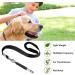 ICOUVA Dog Whistle 2 Pack Professional Ultrasonic Dog Training Whistle With Lanyard Neck Strap Training Assistant for Recall and Barking Control - Buy Online on GoSupps.com