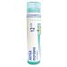 Boiron Arnica Montana 12ch / 12 C 4g Homeopthic Medicine Multi Dose Tube By Boiron Canada 4 gram