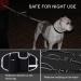 Pecute Dog Leash with Belly Belt - Ideal Jogging Leash for Large & Medium Dogs Elastic Running Leash Up to 80kg Includes Belt Bag - Buy Online on GoSupps.com