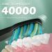 Electric Toothbrush for Adults with 8 Brush Heads | 40000 VPM Deep Clean | 5 Modes | Rechargeable & Fast Charging | Lasts 30 Days | Black - Buy Online on GoSupps.com