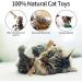 Newoutset 4 Pcs Natural Silvervine Cat Chew Sticks with 3 Pcs Cat Mouse Toys Kitten Catnip Chew Toys for Indoor Cats Cleaning Teeth Teething Stress Release Toys Sticks - Buy Online on GoSupps.com