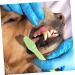 BESPORTBLE 2 Sets Pet Toothbrush Dog Chew Toothbrush Small Dog Toothbrush Dog Chew Brush Dog Toothpaste Pets Pp - Buy Online on GoSupps.com