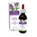 Naturalma Alfalfa or Lucerne (Medicago Sativa) herb with Flowers Alcohol-Free Tincture - Rich in Natural Chlorophyll - 4 fl oz Liquid Extract in Drops - Herbal Supplement - Vegan Alcohol-free 4 Fl Oz (Pack of 1)