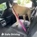 Umi Dog Seat Belt for Car - Adjustable Elastic Bungee Dog Car Harness - Buy Online on GoSupps.com