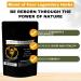 Phoenix Rejuvenation Formula - Lost Empire Herbs Energy Blend of 4 Top Natural Health Herbs Pine Pollen He Shou Wu Ant and Shilajit (100g Powder) - Buy Online on GoSupps.com