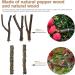 5-Piece Natural Twig Parrot Toys Set for Small to Medium Birds - Ideal for Macaws, Budgies, Lovebirds, Finches - Perching Wood Sticks - Buy Online on GoSupps.com