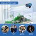 FYD Auto Fish Feeder: Timer Food Dispenser for Small Aquarium, Vacation, Goldfish - 4 Feeding Times Adjustable - Buy Online on GoSupps.com