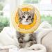 Soft Cat Recovery Collar Comfy Head Wound Healing Protective Collar for Cat Recovery After Surgery Adjustable Cute Neck Cone for Cats Kitten and Puppies(Orange S) - Buy Online on GoSupps.com