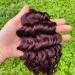 16 Inch 99J Burgundy Deep Wave Brazilian Virgin Human Hair Bundle for Women - Colored Remy Hair Extensions - Buy Online on GoSupps.com