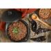 Buy Organic Quail & Pinto Beans - Gourmet Quality Dried Whole Beans (400g) | Natural Protein Boost for Healthy Living - Buy Online on GoSupps.com