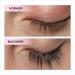 Buy JEUXLOR Superlative Lash & Eyebrow Growth Serum - 3 ml | Test Winner for Longer Lashes & Brows | International Shipping - Buy Online on GoSupps.com
