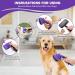TIMINGILA Self-Cleaning Slicker Brush for Pets - Grooming Tool for Dogs, Cats, and More - Purple - Buy Online on GoSupps.com