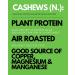Karma Nuts Sweet Matcha Cashews with Skin - Whole Roasted Vegan Snack Packs | Gluten-Free, Low Net Carb, Natural Nut Snack - 1.5oz (12-Pack) - Buy Online on GoSupps.com