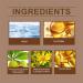 Buy Horse Chestnut Gel for Varicose Veins - Soothing Leg Cream for Circulation & Spider Vein Relief - Buy Online on GoSupps.com