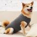 Shop Doton Hospital Suit for Dogs & Cats - Wound Protection & Medical Clothing for Post-Op Care (M Gray) - Buy Online on GoSupps.com
