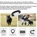 Buy Winnes Dog GPS Tracker TK911 - Waterproof Real-Time Tracking & Geofencing for Small Pets - No Subscription Required - Buy Online on GoSupps.com