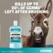 Buy Listerine Antiseptic Mouthwash Zero Mild Mint 500ml - Fresh Breath & Oral Care | International Shipping Available - Buy Online on GoSupps.com