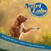 Nutrilabs Canicox HD Journey Tablets for Dogs - 50 Pieces with MSM Chondroitin Hyaluronic Acid & Glucosamine - Healthy Dietary Chews for Joint Support - Buy Online on GoSupps.com