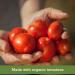 Muir Glen Canned Tomatoes  Organic Crushed Tomatoes with Basil  No Sugar Added  28 oz - Buy Online on GoSupps.com