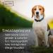 Chewies Training Haps Kangaroo - Monoprotein Snack for Dogs | Hypoallergenic Cereal & Sugar-Free Soft Treats | 300g Pack - Buy Online on GoSupps.com