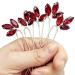 BETITETO Crystal Bridal Hair Pins - 5 Piece Wine Red Rhinestone Headpiece for Wedding Party - Buy Online on GoSupps.com