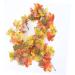 LIFKICH 1pc Maple Leaf Pendant Artificial Maple Leaf Vine Thanksgiving Front Door Vine Thanksgiving Leaves Artificial Leaves White Masks Home Decor Artificial Rattans Reward Halloween Colorful 180 20cm - Buy Online on GoSupps.com