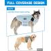 Pecute Dog Cooling Vest XL Blue - Summer Cooling Coat for Dogs, Sun Protection, 5-Layer Evaporation Cooling, Breathable Mesh, Adjustable Straps - Buy Online on GoSupps.com