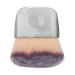 Loose Powder Brush Flat Arched Soft Fibe Mini Makeup Brush for Foundation Face Powder Blush Contour Bronzer(Silver)