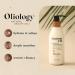 Oliology Coconut Oil Curl Cream - Defines Curls, Reduces Frizz | Botanically Infused, Made in USA | 8.5oz Cruelty Free, Paraben Free - Buy Online on GoSupps.com