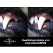Premium Double-Sided Stainless Steel Dog Tooth Cleaner - Tartar Remover & Scaler for Pets | Effective Oral Care - Buy Online on GoSupps.com