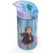 Zak Designs Frozen II Stainless Steel Kids Water Bottle - Elsa And Anna Design - BPA Free - 15.5oz - Flip-up Straw Spout - Durable - FRZA-S730-C - Buy Online on GoSupps.com