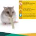 Barley Ears 300g Sweet Bamboo Sticks Chew Toys for Small Animals - Rabbit, Guinea Pig, Hamster, Gerbil - Teeth Cleaning and Boredom Breakers - Buy Online on GoSupps.com