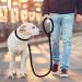 TRHIMLSBRAD Adjustable Dog Leash 2M x 10mm - Multifunctional Double Leash for Every Dog - Durable & Comfortable - Ideal for International Shipping - Buy Online on GoSupps.com
