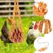 SEWOART 3pcs String Parrot Hooks Poultry Feeder Bags Hanging Feeder for Hens Net Bag Mesh Chicken Feed - Buy Online on GoSupps.com