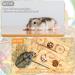 6-in-1 Guinea Pig & Hamster Toy Set | Wooden Accessories for Small Animals | Ideal for Rabbits Chinchillas & More - Buy Online on GoSupps.com