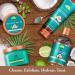 Tree Hut Lychee & Plum 24 Hour Intense Hydrating Shea Body Butter 7oz - Nourishing Moisturizer with Pure Shea Butter - Buy Online on GoSupps.com